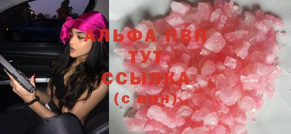 индика Гусев