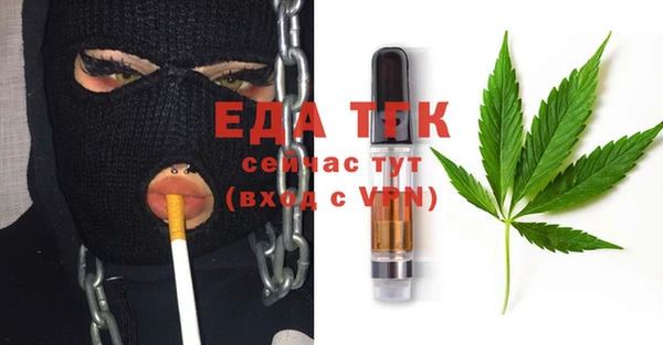индика Гусев