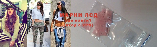 индика Гусев