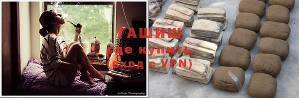 шишки Гусиноозёрск