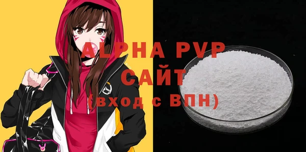 шишки Гусиноозёрск
