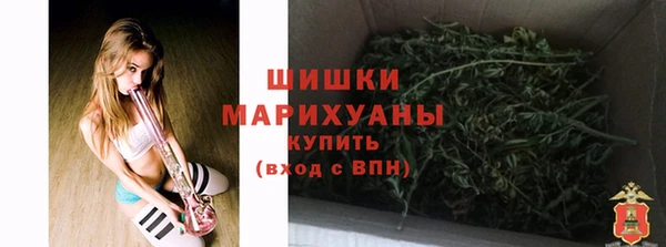 apvp Горняк