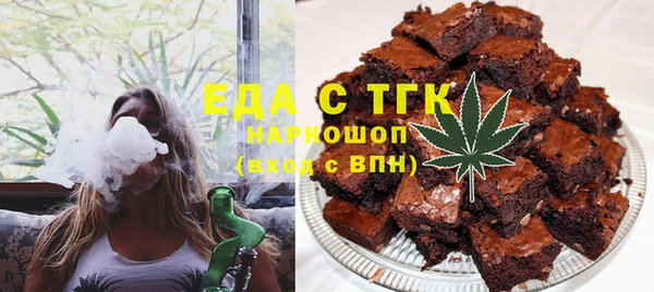 шишки Гусиноозёрск