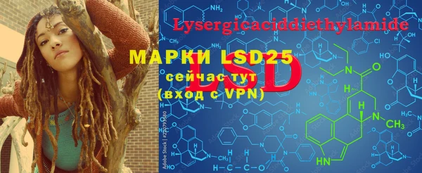 apvp Горняк