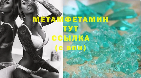 шишки Гусиноозёрск