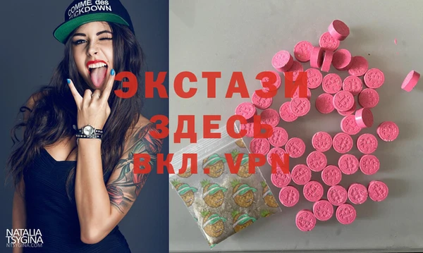 индика Гусев