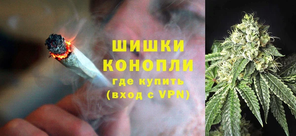 шишки Гусиноозёрск