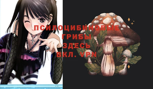 apvp Горняк