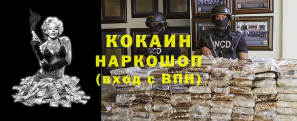индика Гусев