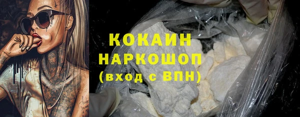 индика Гусев