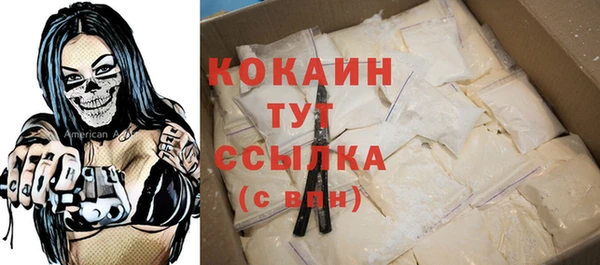 apvp Горняк