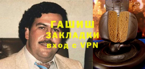 шишки Гусиноозёрск