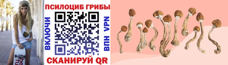 OMG рабочий сайт  Жигулёвск  Галлюциногенные грибы Psilocybe 